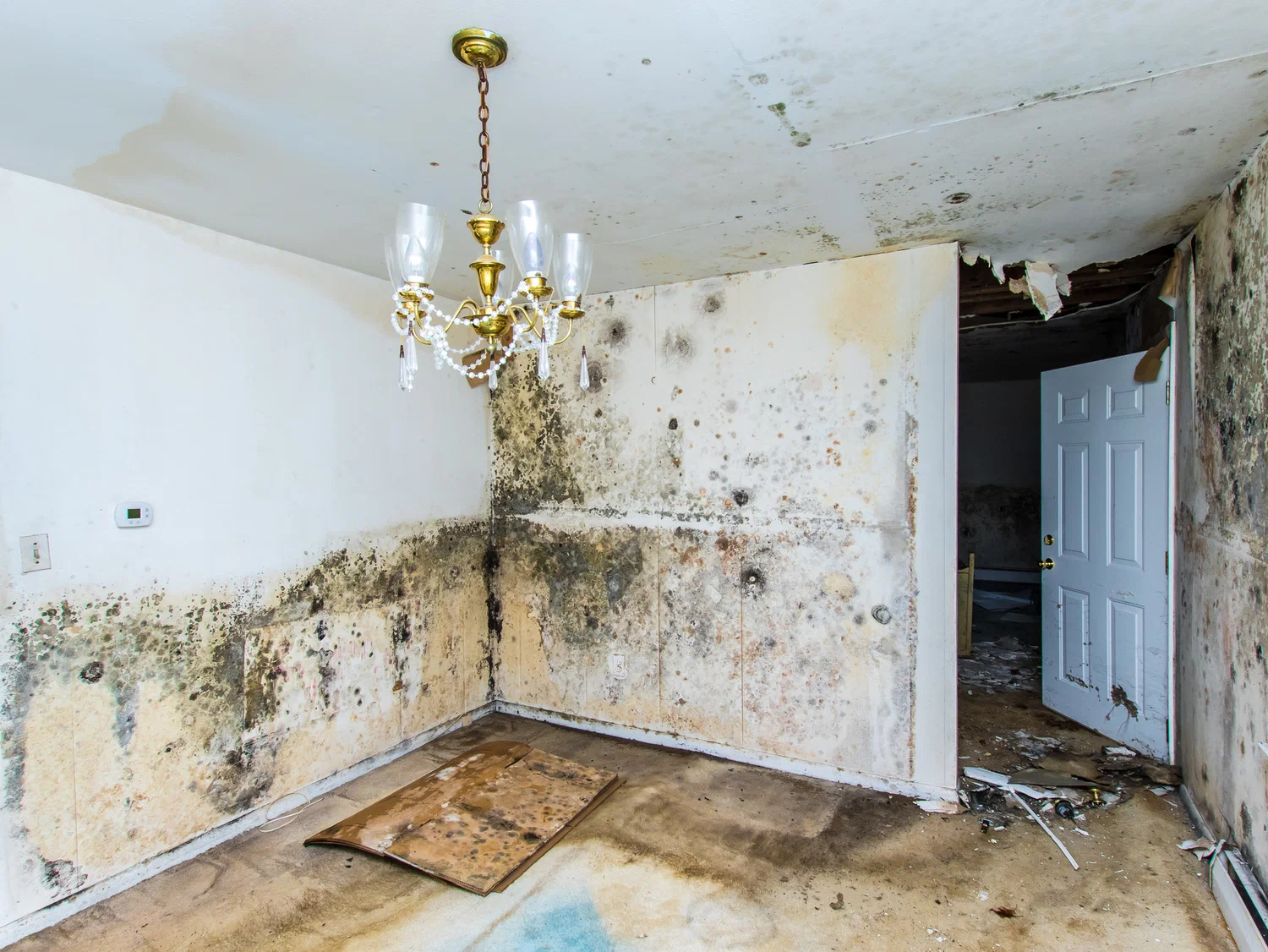 How Much Compensation For Damp And Mould UK?