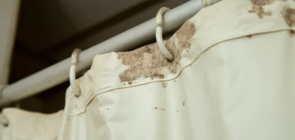 Mould Out of Curtains