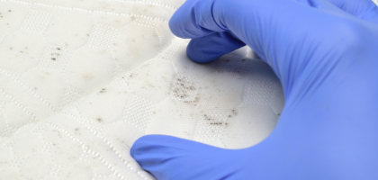 Remove Mould Stains from Coloured Fabric