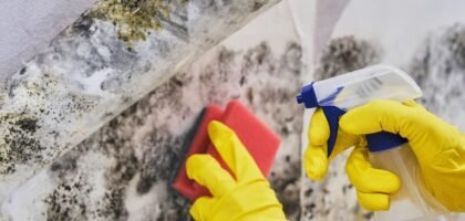 How to Remove Mould from Walls Without Damaging the Paint